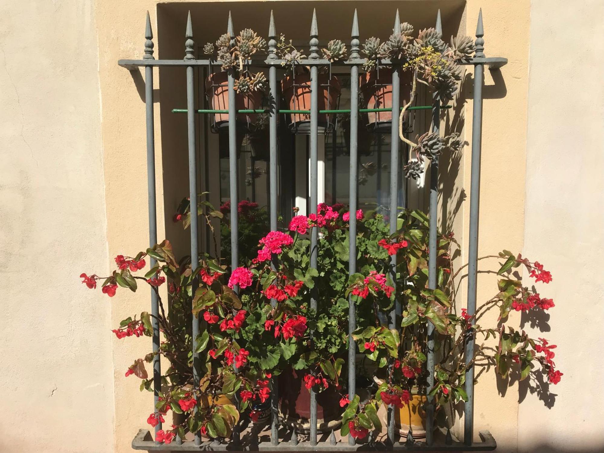 Simone'S Houses Montpellier Extérieur photo